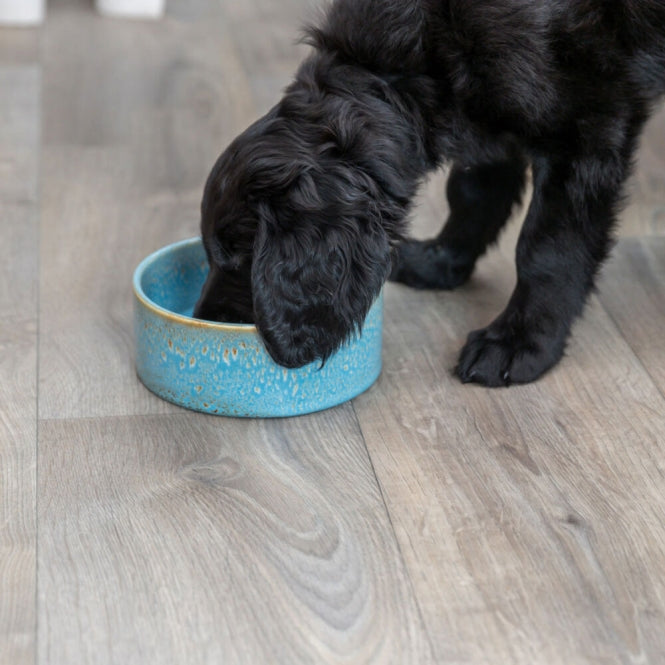Trixie Keramiknapf mit Musterung - blau
