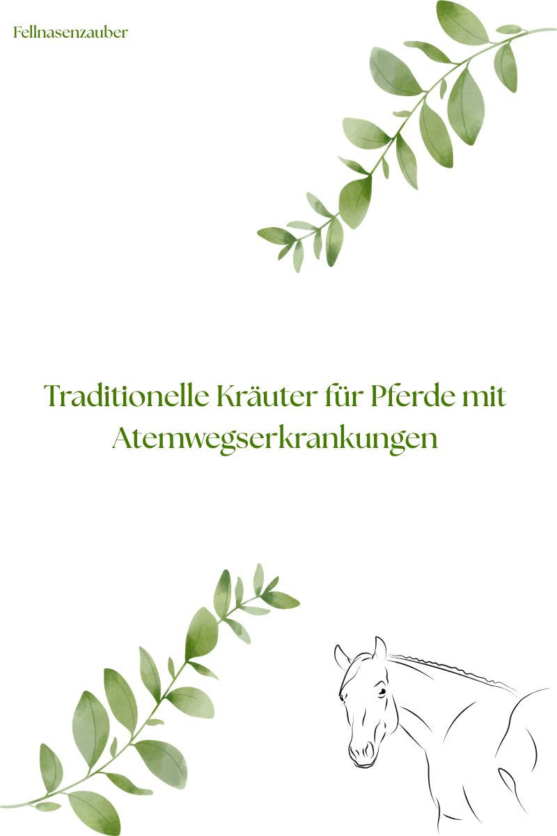 Traditionelle Kräuter für Pferde mit Atemwegserkrankungen