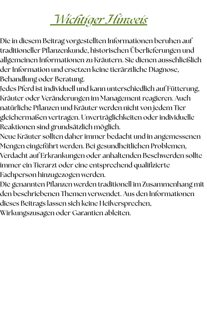 Traditionelle Kräuter für Pferde mit Atemwegserkrankungen