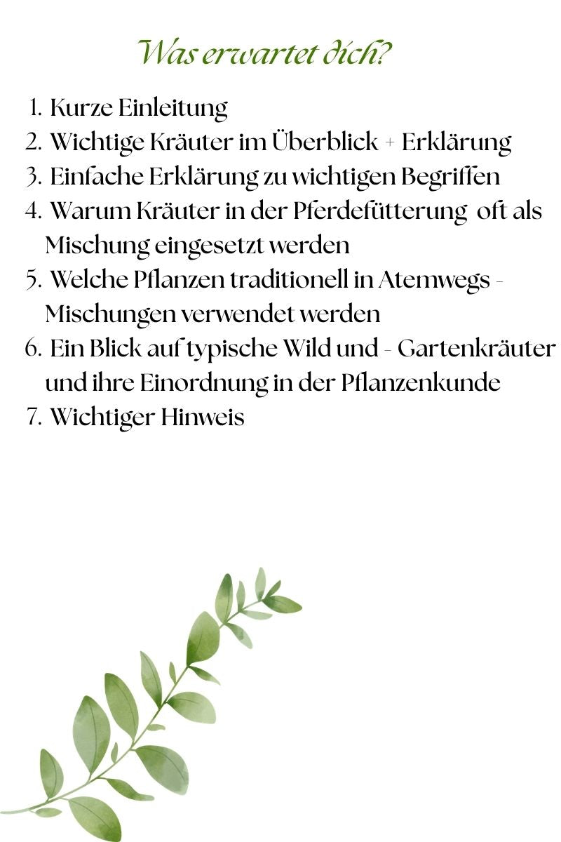 Traditionelle Kräuter für Pferde mit Atemwegserkrankungen