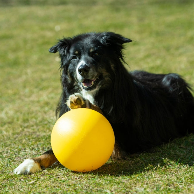 PROCYON Treibball Größe S - extra stabil