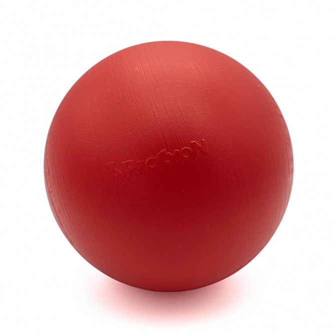 PROCYON Treibball